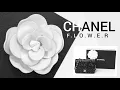 Download Lagu DIY Quilling Camellia Flower Tutorial | Chanel Camellia Paper Flower