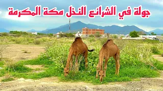 أجمل جولة صباحية في الشرائع النخل وشوفوا أجواء خرافيه وربيع الشرائع بمنطقة مكة المكرمة 