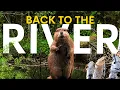 How Beavers Fully Revitalised This UK River