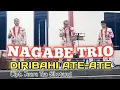 Download Lagu NAGABE TRIO || DIRIBAHI ATE-ATE || CIPT. JUARA TUA SIHOTANG