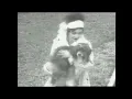 Phil Collins - Something Happened On The Way To Heaven (Official Music Video)