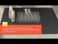 Chem Experiment 2 HOL Qualitative Cation Tests Flame