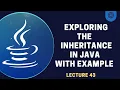 Exploring The Inheritance in Java Lecture 43