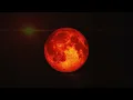 DIM3NSION x FRANKYEFFE - Moonfire [ASOT] | Music Video