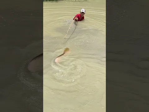 Amazing Fishing For Huge Fish