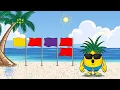 Beach Safety Flags with Willy the Pineapple from Pineapple Willy s