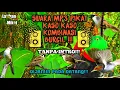 Download Lagu MP3 PIKAT BURUNG KASO KASO RIBUT/BURCIL!!! TERBARU2021