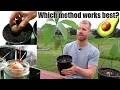 Download Lagu The BEST Way To Grow Avocado From Seed | 0 - 5 Months of Growth