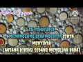 Download Lagu Karaoke - Mengejar badai - Revo Ramon - Nada cewek / female
