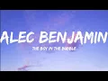Download Lagu Alec Benjamin-The Boy In The Bubble (Lyrics Video)
