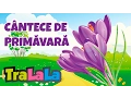 Download Lagu Colaj cântece de primăvară - 60 Minute | Cântece pentru copii de grădiniță TraLaLa