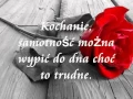 Lagu Tomasz Żółtko - Kochaj mnie i dotykaj + tekst