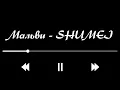 Мальви - SHUMEI (Текст пісні)