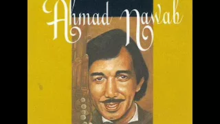 Download Ahmad Nawab - Bunga Tanjung (Instumental) [Official Audio Video] MP3