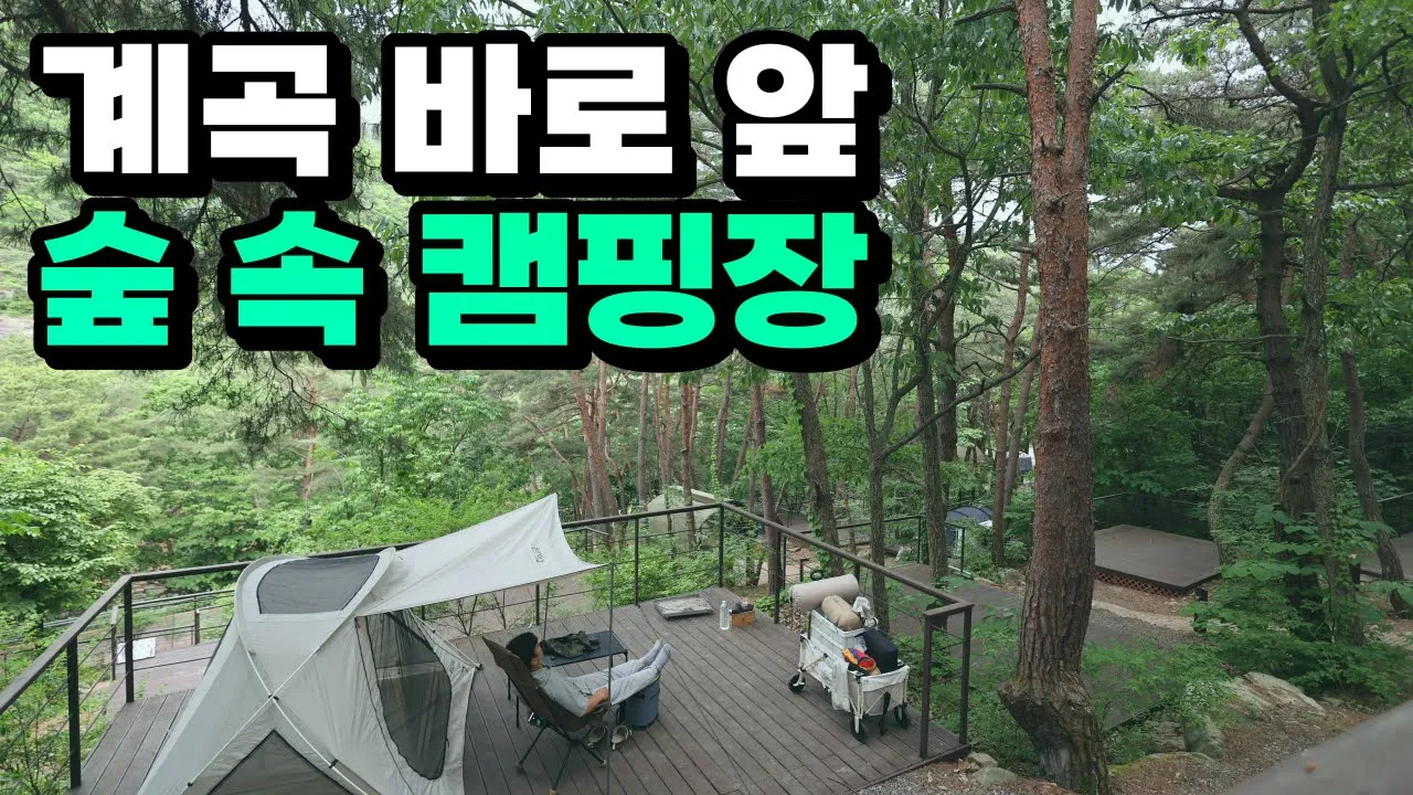 주말 만원대로 다녀 온 계곡 바로 앞 숲 속 캠핑장 나무그늘가득 가성비 최고 휴양 힐링 캠핑 여름 #캠핑 #계곡캠핑 #계곡캠핑장 썸네일