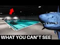 Download Lagu What Sharks and Minnows Hides From You (Horror Game)