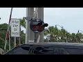 Tyrants In Rockledge Fl