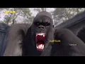 Download Lagu पत्थर का वानर कैसे बना खूंखार || Baalveer Returns ( बालवीर ) || EP - 269, 270, 271, 272