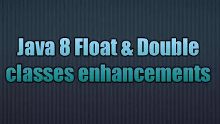 Java 8 Float Double classes enhancements