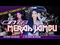 Download Lagu FUNKOT - CINTA MERAH JAMBU NEW 2025 BY DJ ALMIRA BERTO
