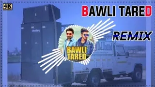 bawli tared ja jile jindagi remix song dj choudhary dhand mhare masle ka hal kartoos kara se