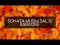 Download Lagu Sonata Musim Salju   Karaoke  High Quality HD