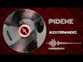 KARAOKE PIDEME ALEX FERNANDEZ