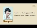 CHANYEOL 찬열 (feat . SOLE)  - ' Happy Accident ' -  Easy Lyrics 