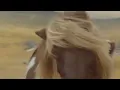The Routers - Lets Go Pony