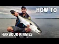How To Catch Yellowtail KINGFISH with Dead Bait
