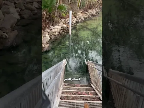 الماء يخفي مفاجأة 😱!