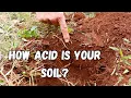 Download Lagu Soil pH Explained: Why Checking It Matters More Than You Think
