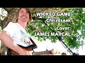 Download Lagu WICKED GAME (Chris Isaak) Cover by James Marçal - Músico de Rua