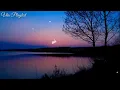 Love Of My Life - South Border (Lyrics)