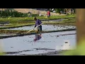 Download Lagu HAI BALI.. HAI PAK TANI :) || RELAXING ACOUSTIC MUSIC