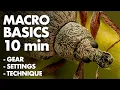 7 Years of Macro Photography Knowledge in 10 Minutes