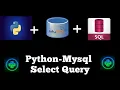 Python Mysql Select Query