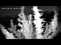 PV Gelato Blue Harvest - Over 18 Only Marijuana Harvest