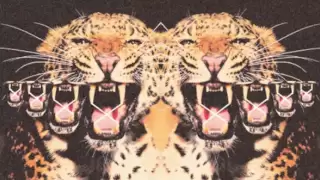 Djemba Djemba Get Slow 