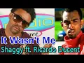 Shaggy Ft Ricardo Ducent -It Wasn't Me