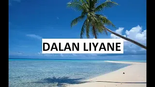 Download DALAN LIYANE REMIX TERPOPULER MP3