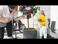 Lagu Unbelievable! Lyly the monkey's funny reaction when her mother caught her stealing flowers.