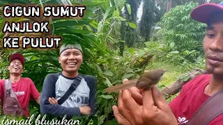 Download Mikat Burung Cigun Ekor Panjang Di SUMATRA UTARA. Bersama YouTube @darmablusukan. MP3