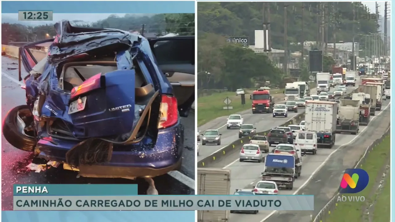 Caminhão carregado de milho cai de viaduto, e obras na BR-101 até novembro