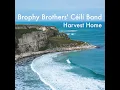 Kildare Fancy / The Boys of the Blue Hill / Harvest Home (Hornpipes)