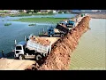 Download Lagu First Stage Project Backfilling Construction Of Machinery DozerD31P \u0026 Truck 5T Spreading Into Water
