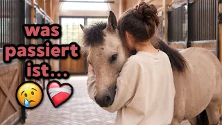 Die letzten Wochen waren schlimm 💔