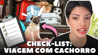 10 DICAS ESSENCIAIS PARA VIAJAR COM SEU CACHORRO!