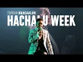 Download Lagu (Hachalu week) by Negesso Dula  Oromoo music 2025