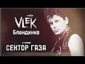 Download Lagu VLEK Блондинка в исполнении Частный Сектор